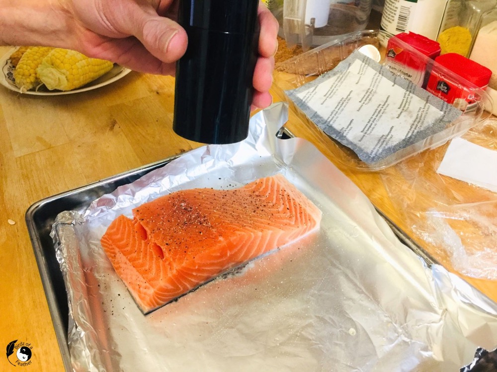 Toaster Oven Salmon
