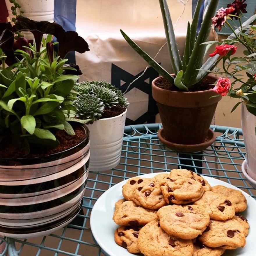 The Only Chocolate Chip Cookie Recipe You'll Ever Need